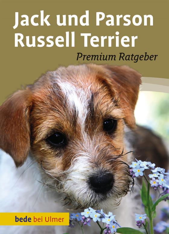 Cover-Bild Jack und Parson Russell Terrier