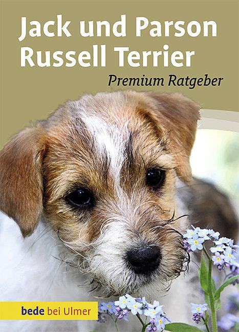 Cover-Bild Jack und Parson Russell Terrier