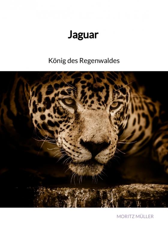 Cover-Bild Jaguar - König des Regenwaldes