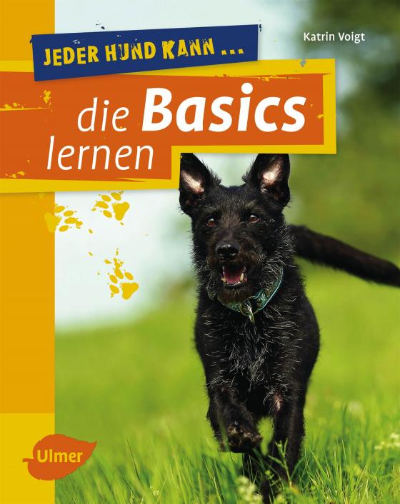 Cover-Bild Jeder Hund kann die Basics lernen