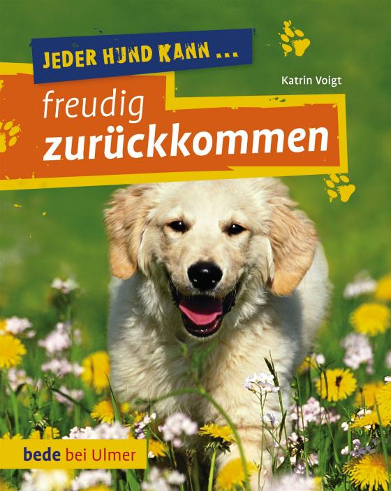 Cover-Bild Jeder Hund kann freudig zurückkommen