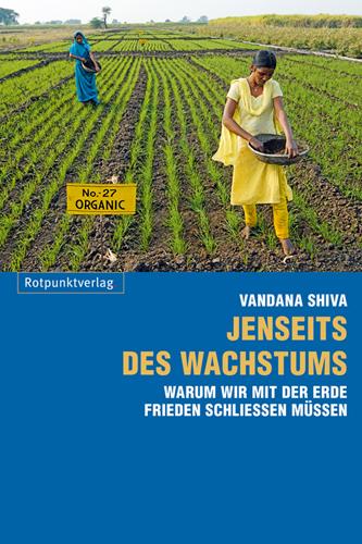 Cover-Bild Jenseits des Wachstums