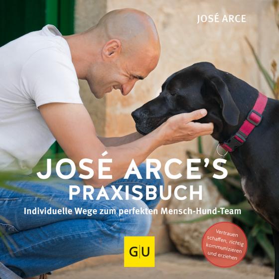 Cover-Bild José Arce's Praxisbuch