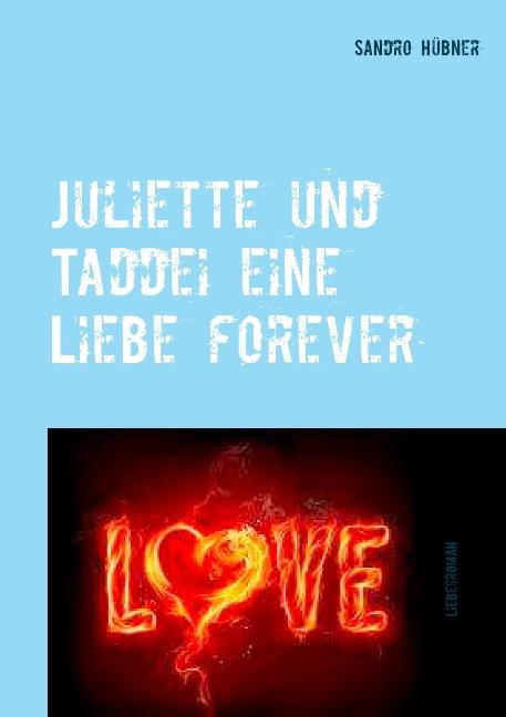 Cover-Bild Juliette und Taddei eine Liebe forever