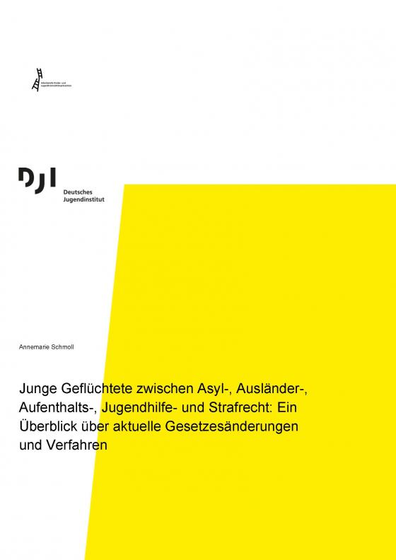 Cover-Bild Junge Geflüchtete zwischen Asyl-, Ausländer-, Aufenthalts-, Jugendhilfe- und Strafrecht: Ein Überblick über aktuelle Gesetzesänderungen und Verfahren