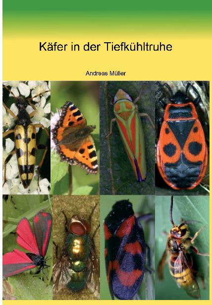 Cover-Bild Käfer in der Tiefkühltruhe