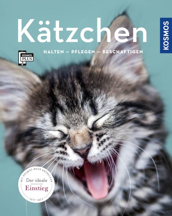 Cover-Bild Kätzchen