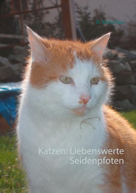 Cover-Bild Katzen: Liebenswerte Seidenpfoten