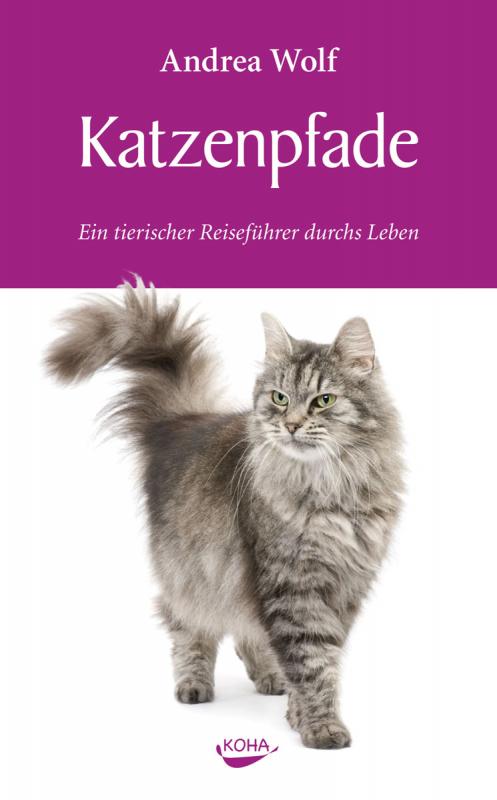 Cover-Bild Katzenpfade