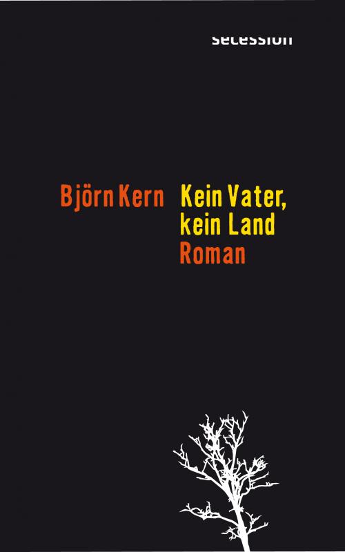 Cover-Bild Kein Vater, kein Land