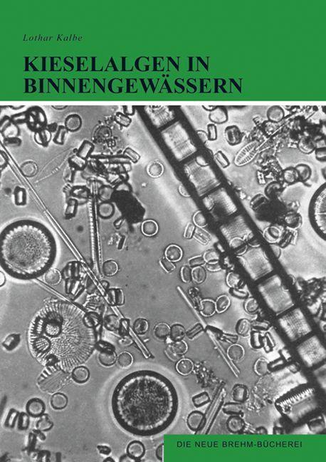 Cover-Bild Kieselalgen in Binnengewässern