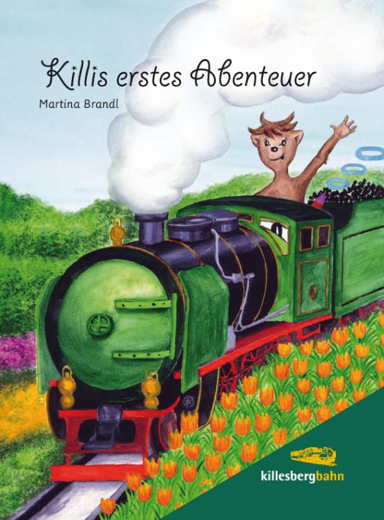 Cover-Bild Killis erstes Abenteuer