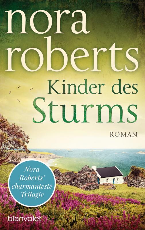 Cover-Bild Kinder des Sturms