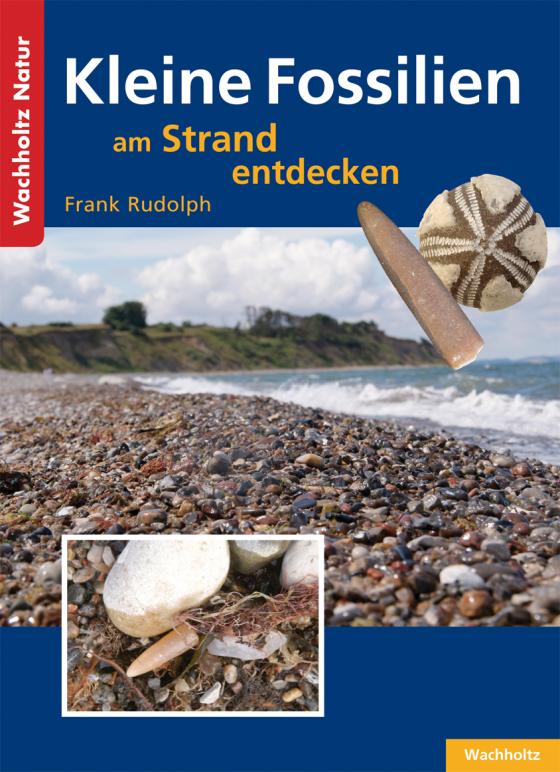 Cover-Bild Kleine Fossilien am Strand entdecken