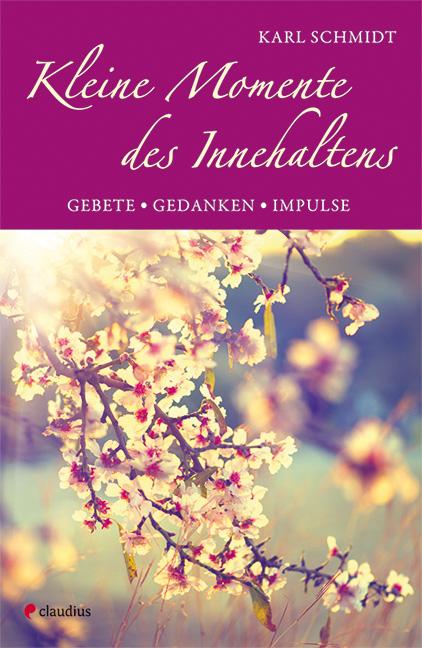 Cover-Bild Kleine Momente des Innehaltens