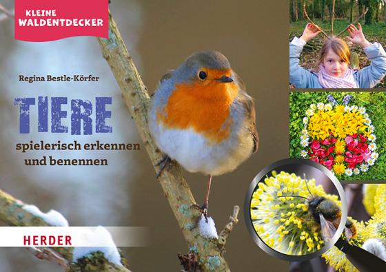 Cover-Bild Kleine Waldentdecker: Tiere