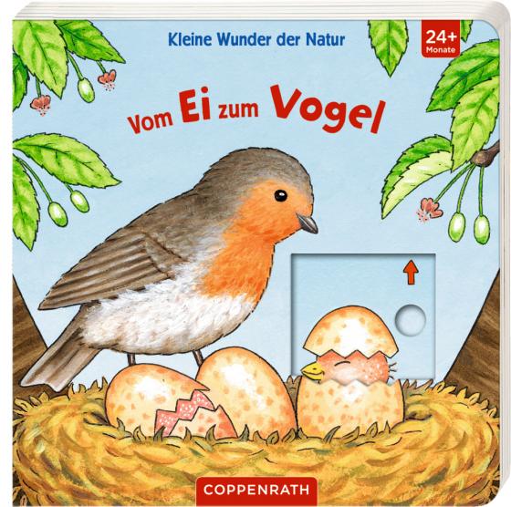 Cover-Bild Kleine Wunder der Natur: Vom Ei zum Vogel