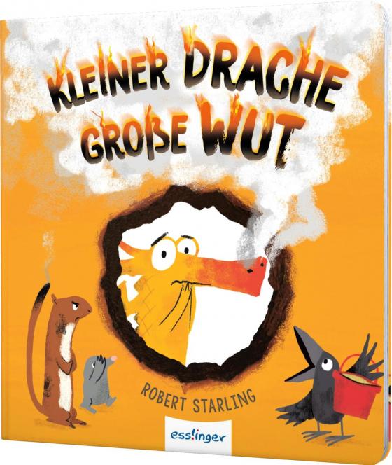 Cover-Bild Kleiner Drache Finn: Kleiner Drache, große Wut