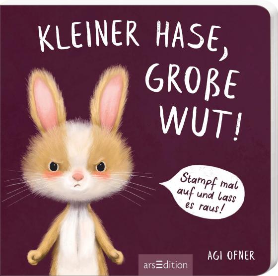 Cover-Bild Kleiner Hase, große Wut!