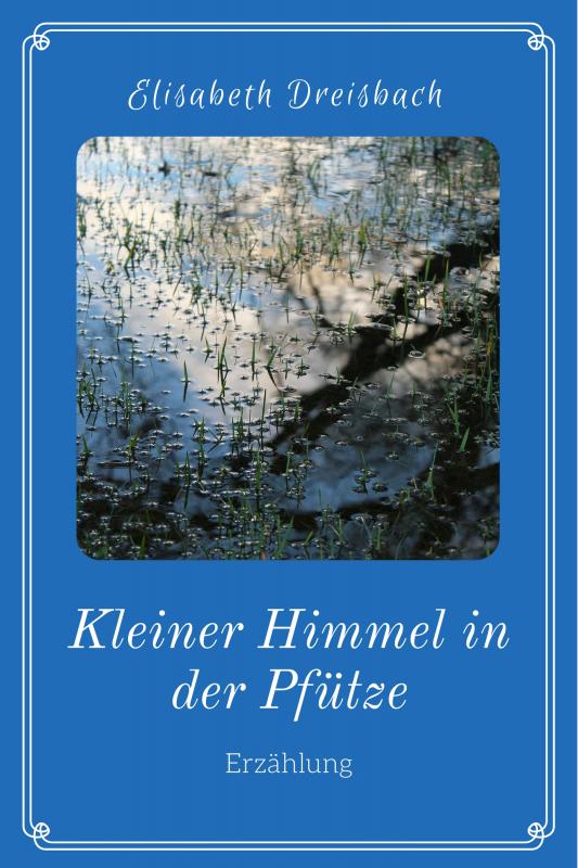 Cover-Bild Kleiner Himmel in der Pfütze