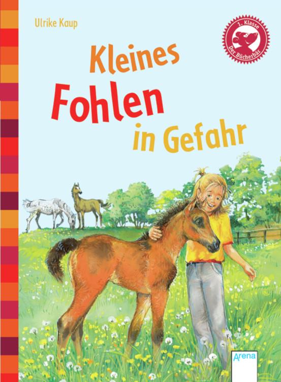 Cover-Bild Kleines Fohlen in Gefahr