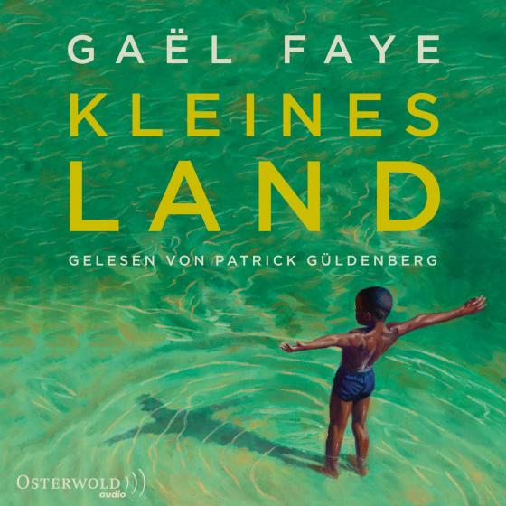 Cover-Bild Kleines Land