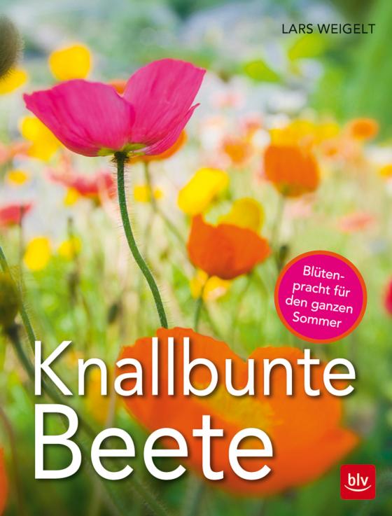 Cover-Bild Knallbunte Beete