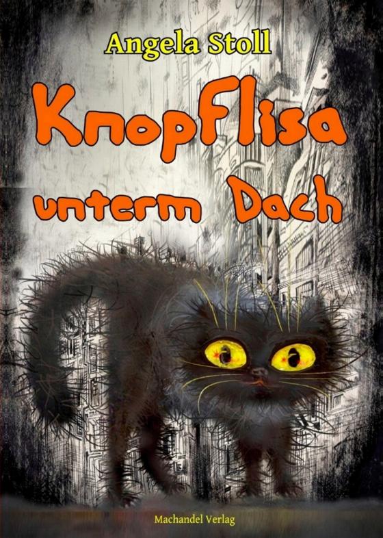 Cover-Bild Knopflisa unterm Dach