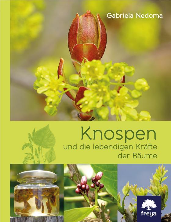 Cover-Bild Knospen