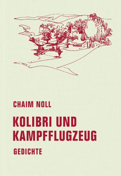 Cover-Bild Kolibri und Kampfflugzeug