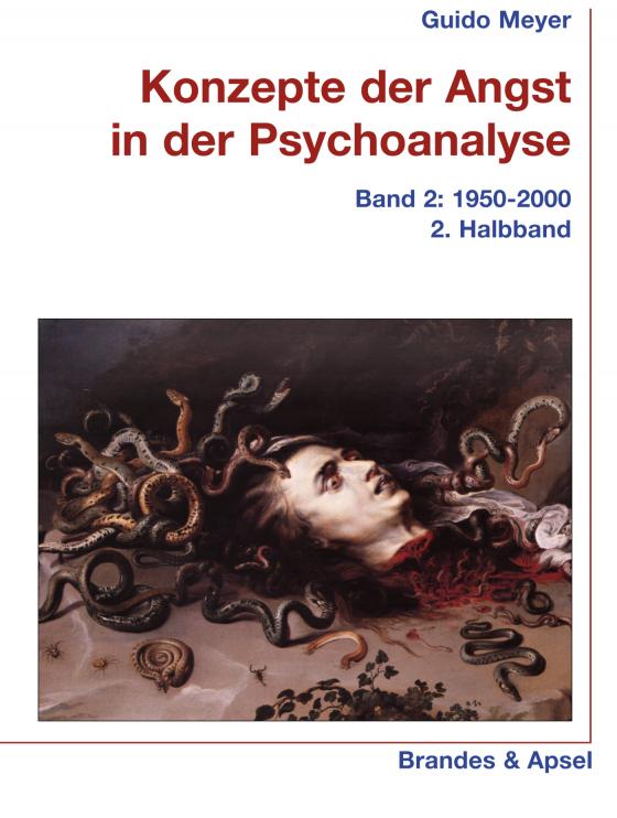 Cover-Bild Konzepte der Angst in der Psychoanalyse Bd. 2/2