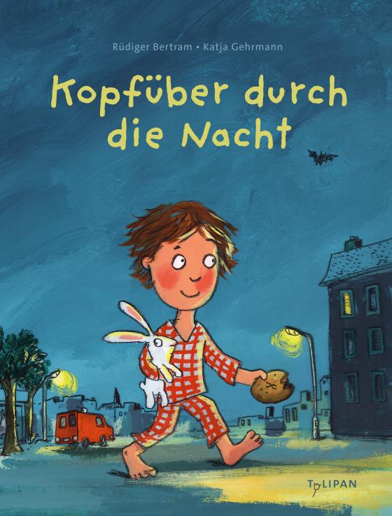 Cover-Bild Kopfüber durch die Nacht