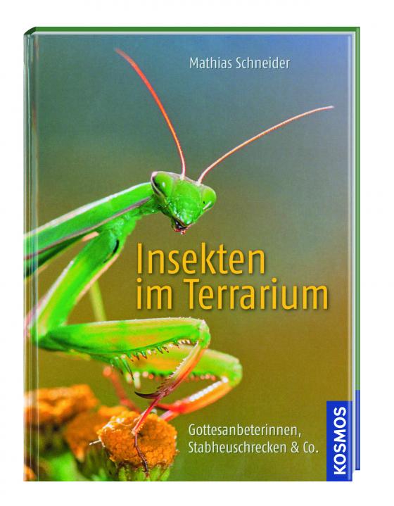 Cover-Bild Kosmos: Insekten im Terrarium