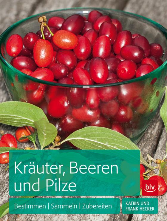 Cover-Bild Kräuter, Beeren und Pilze