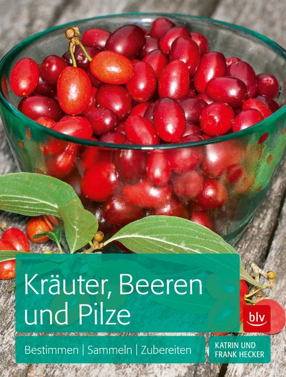 Cover-Bild Kräuter, Beeren und Pilze
