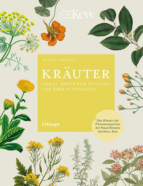 Cover-Bild Kräuter