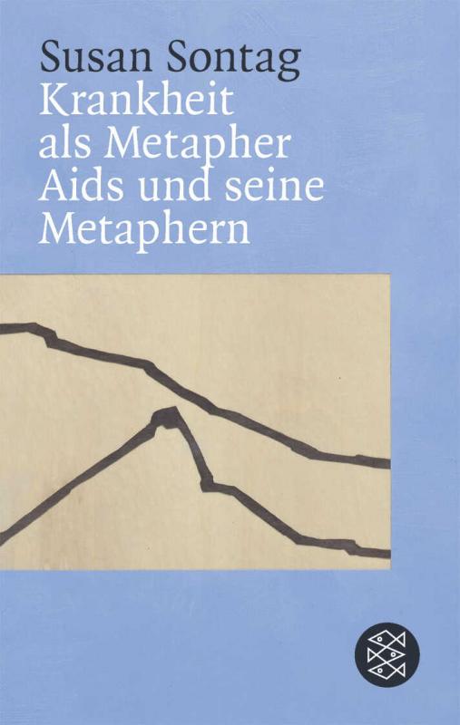 Cover-Bild Krankheit als Metapher & Aids und seine Metaphern