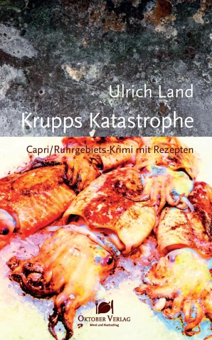 Cover-Bild Krupps Katastrophe