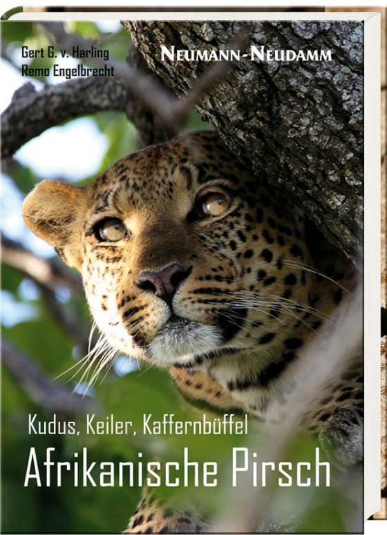 Cover-Bild Kudus, Keiler, Kaffernbüffel