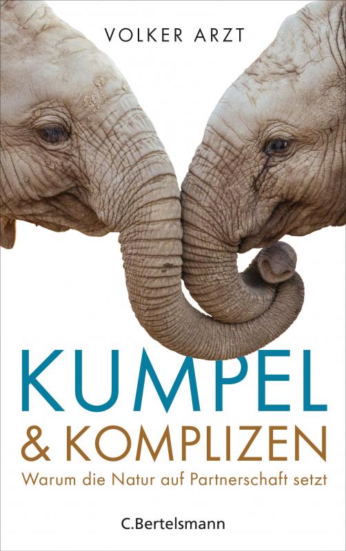 Cover-Bild Kumpel und Komplizen