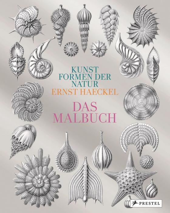 Cover-Bild Kunstformen der Natur von Ernst Haeckel