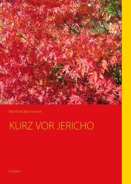 Cover-Bild Kurz vor Jericho