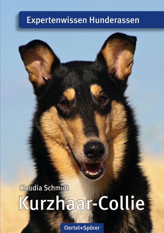 Cover-Bild Kurzhaar-Collie