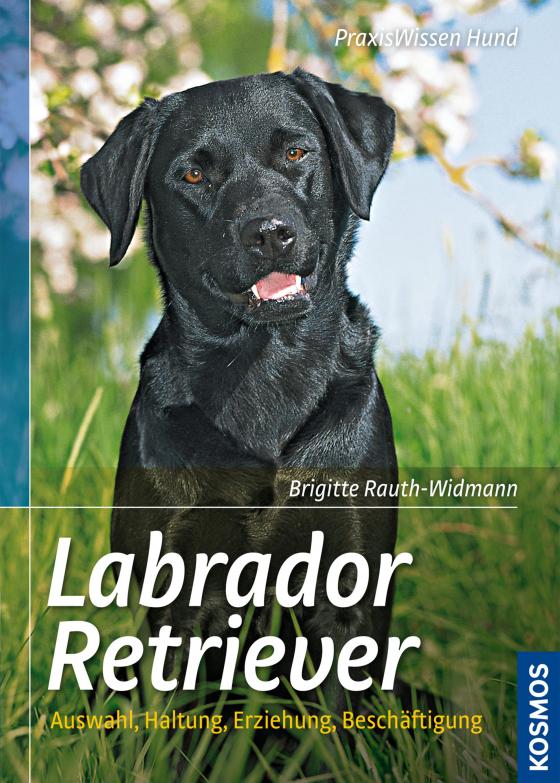 Cover-Bild Labrador Retriever