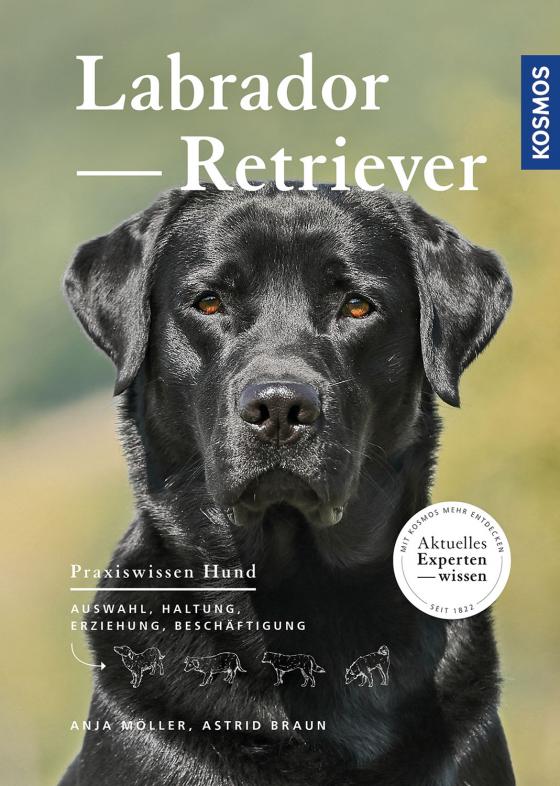 Cover-Bild Labrador Retriever