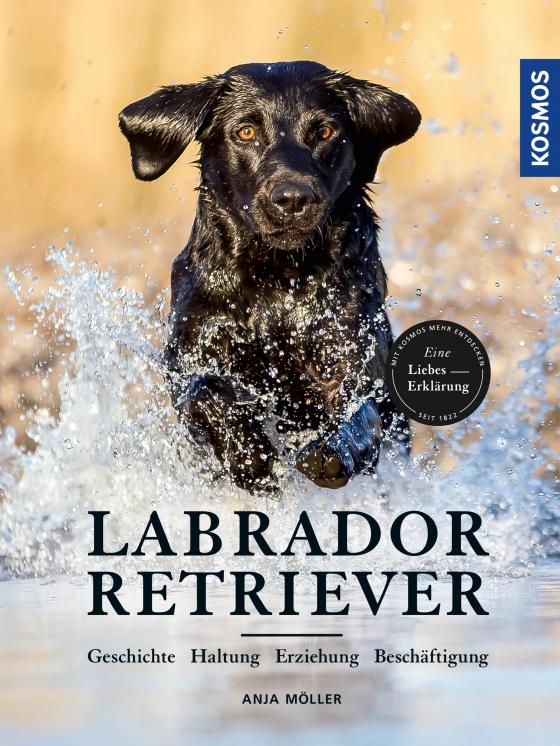 Cover-Bild Labrador Retriever