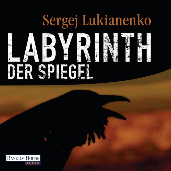 Cover-Bild Labyrinth der Spiegel