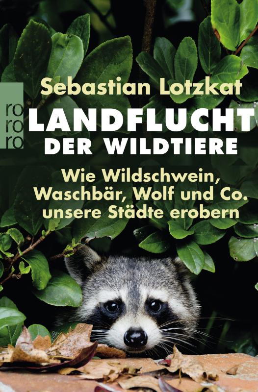 Cover-Bild Landflucht der Wildtiere