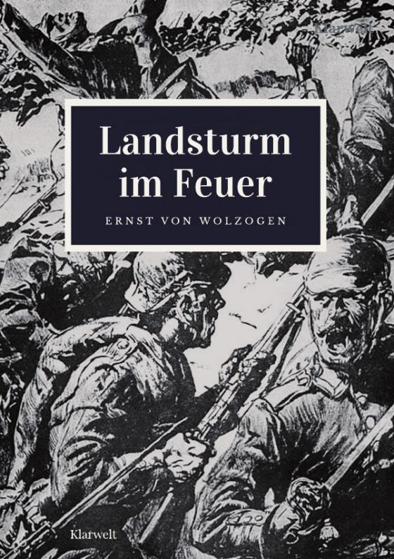 Cover-Bild Landsturm im Feuer