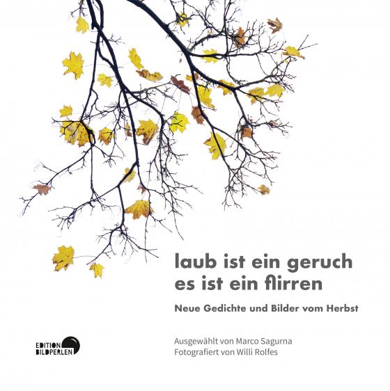 Cover-Bild laub ist ein geruch es ist ein flirren